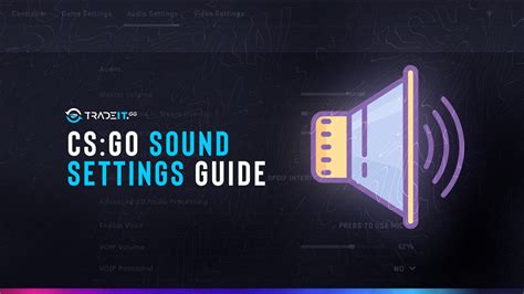csgo console voice playback.